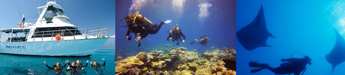 Day Trip: Adrenalin Snorkel and Dive MOUA