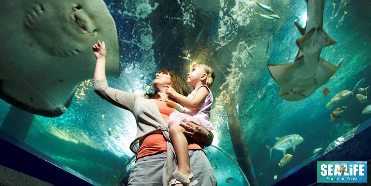 SEA LIFE Aquarium | Sunshine Coast