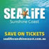 View Event: SEA LIFE Aquarium | Sunshine Coast